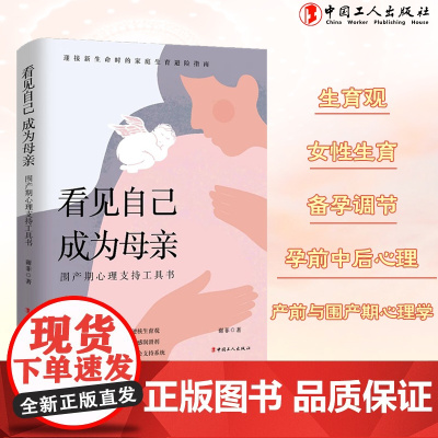看见自己 成为母亲:围产期心理支持工具书 谢菲 著 中国工人出版社孕产养育心理学 产前后抑郁调节备孕心态调节