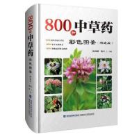 正版新书]800种中草药彩色图鉴(精选版)陈虎彪,杨全978753355933