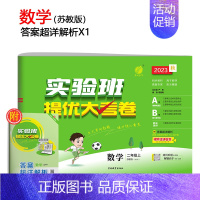 [苏教版]数学 二年级下 [正版]2023旧版实验班提优大考卷一二三四五六年级上下册语数英全套人教版苏教版北师大同步练习