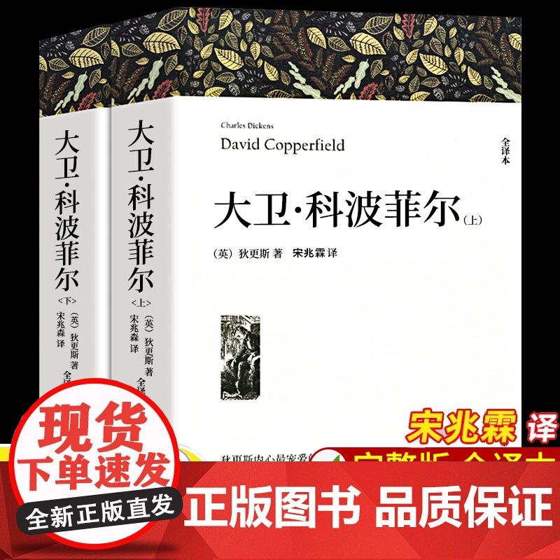 大卫科波菲尔正版狄更斯大卫著 宋兆霖译 高中必读课外阅读书籍名著书目全套原版全译本无删减高一高二高三必读课外书外国文学小