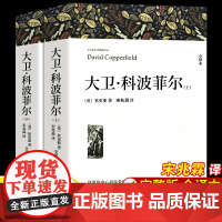 大卫科波菲尔正版狄更斯大卫著 宋兆霖译 高中必读课外阅读书籍名著书目全套原版全译本无删减高一高二高三必读课外书外国文学小