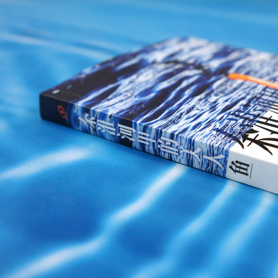 秦淮河里的美人鱼