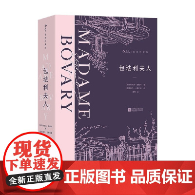 包法利夫人 居斯塔夫·福楼拜 著 小说