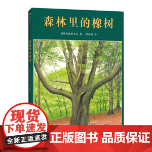 森林里的橡树