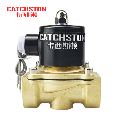 卡西斯顿 管道电磁阀 2W160-15 个
