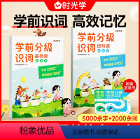 (基础+进阶)全4册 [正版] 学前分级识词幼小衔接基础篇进阶篇识字幼儿园宝宝识字识词启蒙认知学前儿童汉字5000+