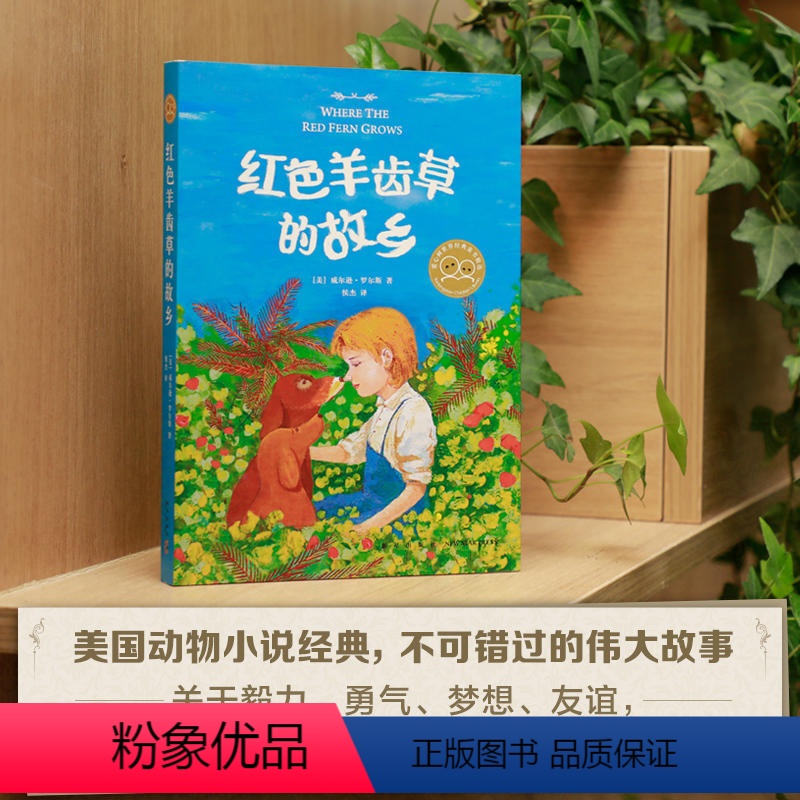 [正版]书籍红色羊齿草的故乡 2019版 小学生课外书6-9-12岁少儿童成长励志课外故事书世界经典外国儿童文学短篇动