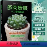 [正版]多肉贵族十二卷属图鉴 多肉品种大全种植养护指南新手零基础玩多肉植物养护图鉴养花书籍