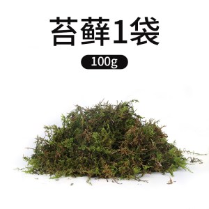 爬宠椰土巴西龟垫材爬虫椰砖饲养箱过冬沙保暖苔藓乌龟冬眠用品