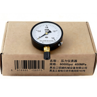 硕臻 压力仪表器 60000psi 400MPa 块
