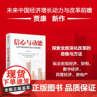 信心与动能 未来中国经济增长动力与改革前瞻 贾康著