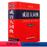 成语大词典--彩色本 小学通用 [正版]2024新版多功能成语字典成语大词典彩色版彩色本商务印书馆修订版初中生高中生小学