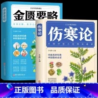[正版]全2册 伤寒论+金匮要略 彩图全解典藏版 原文著合称伤寒杂病论全套张仲景必临床读丛书自学入门基础理论中医学养生