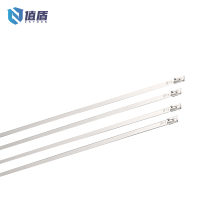 值盾 ZSYDON 304不锈钢扎带 8*900mm 条