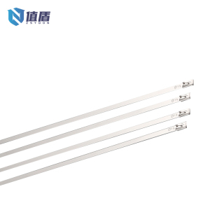 值盾 ZSYDON 304不锈钢扎带 8*900mm 条