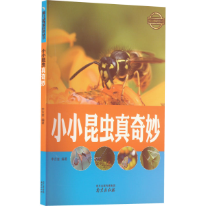 醉染图书小小昆虫真奇妙9787553315454