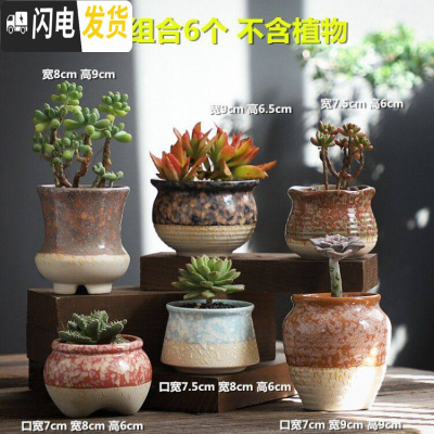 三维工匠多肉花盆陶瓷粗陶透气家用肉肉植物创意大口径创意小花盆 喷点HS陶盆组合6个 小花盆容器