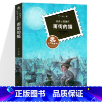 [正版] 雨街的猫 王一梅著 新蕾出版社 国际大奖小说 小学生三四五六年级儿童书籍 8-14岁儿童文学书籍