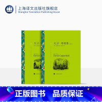 [正版]大卫考坡菲/上下 狄更斯著 张谷若译 译文名著精选 世界名著 外国文学小说书籍 外国名著经典读物 上海译文出版