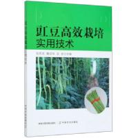 正版新书]豇豆高效栽培实用技术张忠武,詹远华,田军 编978710927