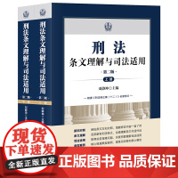 刑法条文理解与司法适用[第二版 上下册]