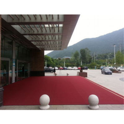 杜克恩 DKECCT-01 除尘毯地垫(计价单位:块)红色