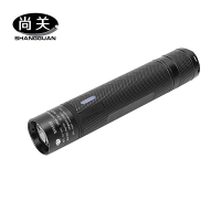 尚关(SHANGGUAN)微型防爆电筒 SQ-YD010 套