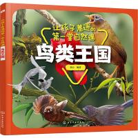 鸟类王国/让孩子着迷的第一堂自然课