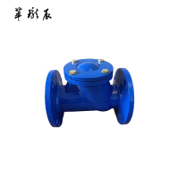 萃珑辰 HQ41X球形止回阀 DN80 个
