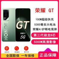 [全新]荣耀GT 极光绿 16GB+256GB 第三代骁龙8芯 电竞屏 5G AI 新款 游戏手机
