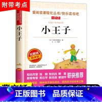 小王子 世界名著 [正版]小王子书中文 无障碍精读版经典名著 三四五年级小学生课外书阅读 幼儿童话故事 6-8-12岁儿