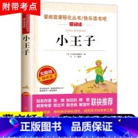 小王子 世界名著 [正版]小王子书中文 无障碍精读版经典名著 三四五年级小学生课外书阅读 幼儿童话故事 6-8-12岁儿
