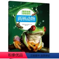 [正版] 国家地理动物百科 两栖动物 2.0版 原版引进 权威编著 3000多幅高清图片 4000多种物种范例 百科全