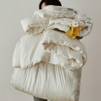 高档A类纯棉55%大豆纤维春秋被冬被被芯加厚保暖四季通用子母被子