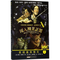 音像发现显形怪石