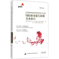 音像国际财务报告准则实务指引沈洁 等 编译