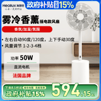 海路世(Heallux)直流变频台地两用插电款雾冷香薰电风扇DF01EA