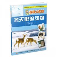 正版新书]冬天里的动物[德]安妮塔·冯·莎恩 著;国开童媒(北京)