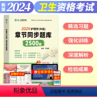 [正版]新版2024年主管护师护理学中级2500题章节同步题库练习题集全国卫生专业技术资格考试用书搭配人卫版习题历年真