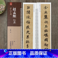 [正版]赵孟頫行书千字文 经典碑帖近距离临摹字帖练习卡行书毛笔书法近距离临摹字卡