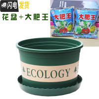三维工匠塑料玫瑰盆栽花肉肉绿萝月季专用加伦树脂家用特大号超大加仑花 [3个盆]+大肥王3包 矮胖7.6L(口径2花盆容器