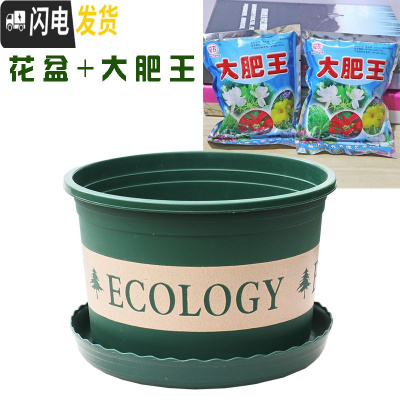 三维工匠塑料玫瑰盆栽花肉肉绿萝月季专用加伦树脂家用特大号超大加仑花 [3个盆]+大肥王3包 矮胖7.6L(口径2花盆容器