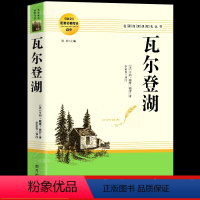 瓦尔登湖 [正版]瓦尔登湖 原著无删减完整版 高中生名著导读 高一二三阅读课外读物 世界经典文学名著 语文配套名著阅读课