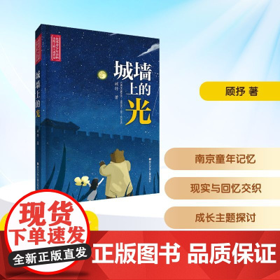 城墙上的光 顾抒 著 儿童文学少儿 正版图书籍 浙江少年儿童出版社