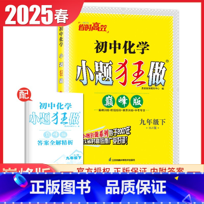 [巅峰版]九年级下册化学沪教版 初中通用 [正版]2025初中小题狂做七八九年级下册上册提优版巅峰语文数学英语物理化学人