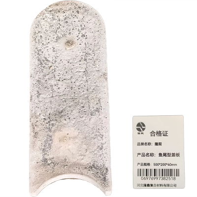 隆熙+鱼尾型盖板+500*200*40mm+块