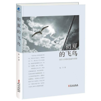 音像初夏的飞鸟(穿行于四季的旅途与省思)张洋