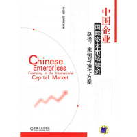 正版新书]中国企业国际资本市场融资(路径案例与操作方案)石建勋