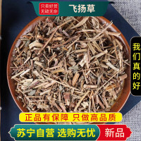 甄选飞杨草100克新货正品飞扬草煮水泡茶新货乳汁草正品节节花飞扬草