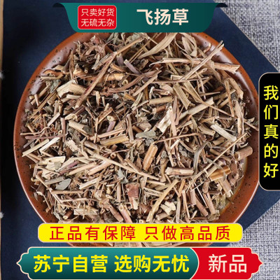 甄选飞杨草100克新货正品飞扬草煮水泡茶新货乳汁草正品节节花飞扬草